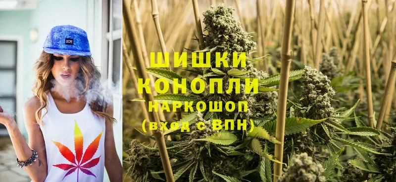 Бошки Шишки OG Kush  где купить   Бирюч 